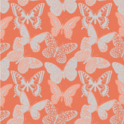 Holly Kids High Tops CW12 - Kids Shoes