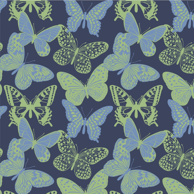 Holly Kids High Tops CW3 - Kids Shoes